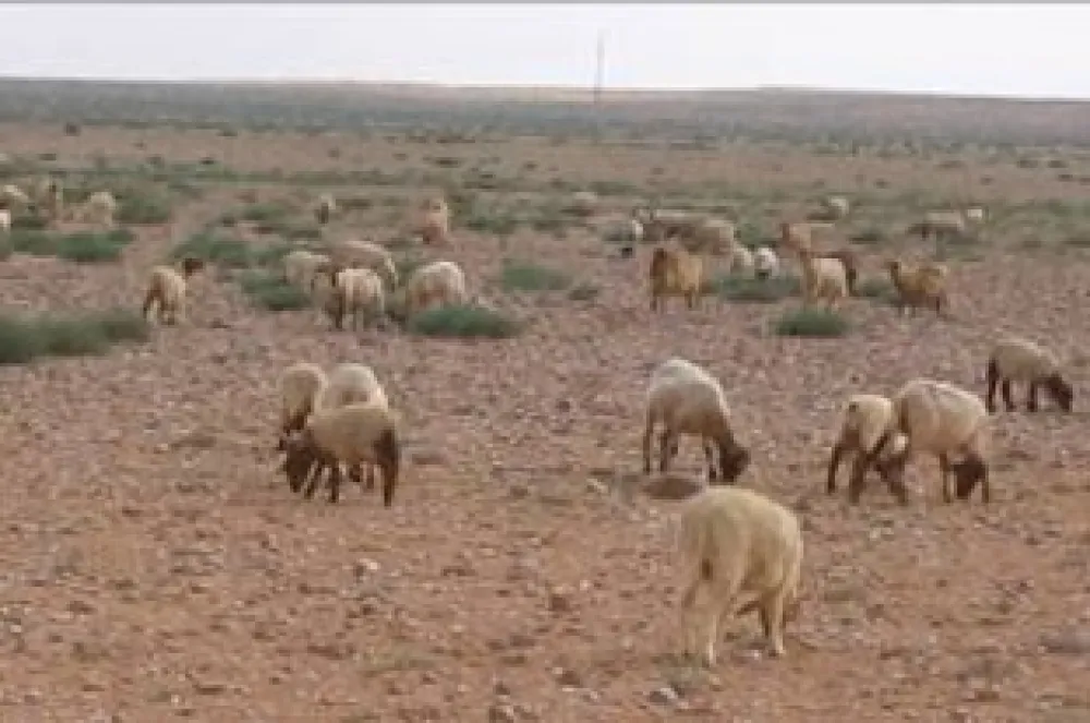الجماعة الترابية لبني مطهر